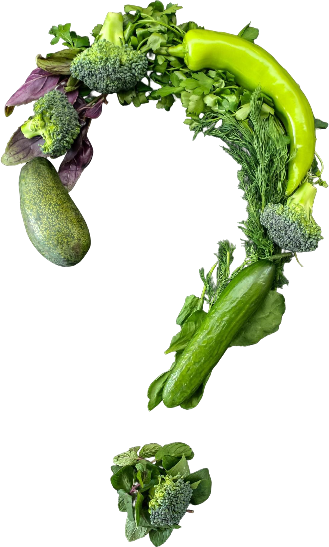 Vegetarian